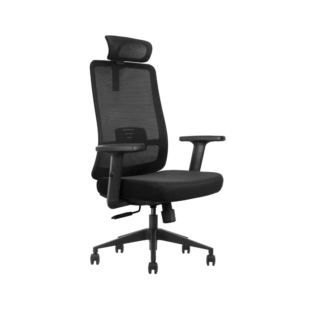 éfauteuil directeur - agent GV (4).webp